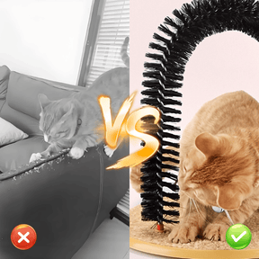 PawArch – Curved Cat Scratching Arch