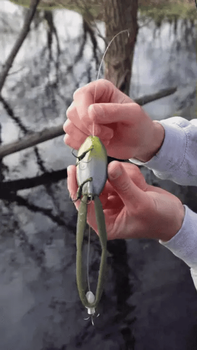 Predator Frog - Topwater Lure Designed for Bass, Pike & Snakehead