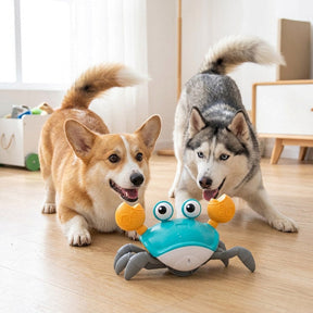 WagScuttle – Interactive Moving Crab Toy