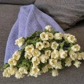 CozyBloom – Hand-Knitted Rose Blanket DIY Kit