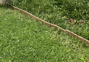 BloomBorder – Stone Style Edging System