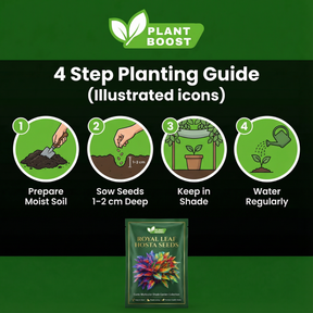 Hosta Haven – Rare Foliage Seed Pack