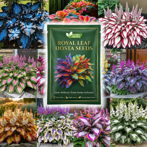 Hosta Haven – Rare Foliage Seed Pack