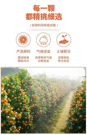 GoldenCitrus – Traditional Kumquat Licorice Jam
