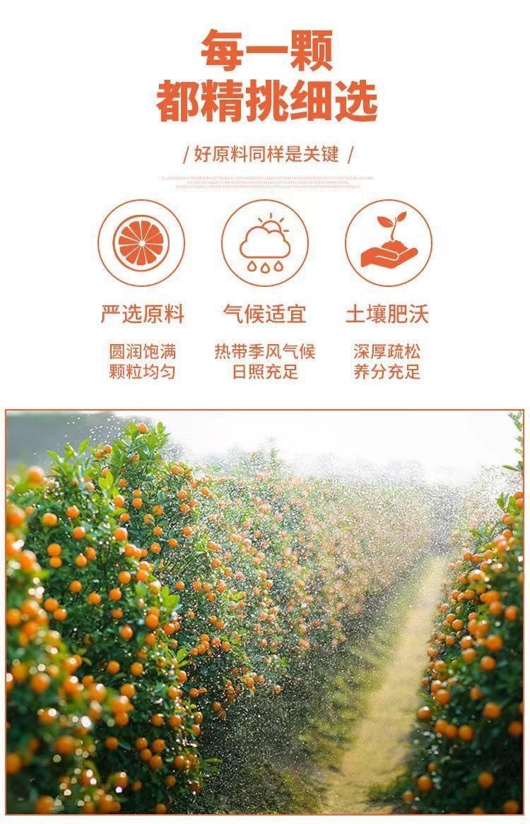 GoldenCitrus – Traditional Kumquat Licorice Jam