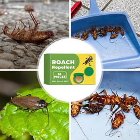 InsectBarrier – Roach Control Solution