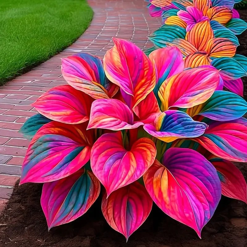 Hosta Haven – Rare Foliage Seed Pack