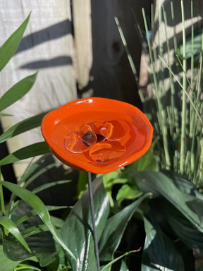 BeeHaven – Pollinator-Friendly Insect & Butterfly Drinking Cups