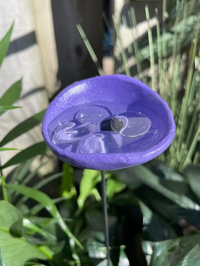BeeHaven – Pollinator-Friendly Insect & Butterfly Drinking Cups