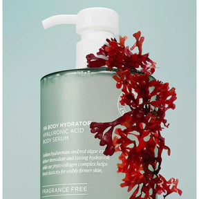 ToneAura – Body Sculpting Treatment