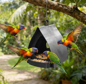 BirdBloom – Window View Feeder