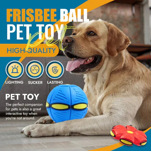 The World's Best 2-in-1 Interactive Toy To Keep Your Dog Entertained For Hours!