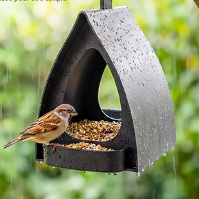 BirdBloom – Window View Feeder