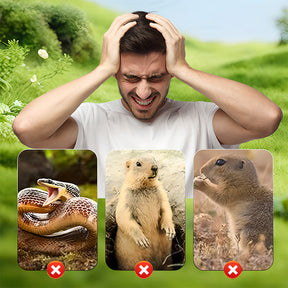 AuraGuard – Solar Powered Waterproof Mole Repellent