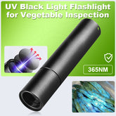 CleanScan – UV Produce Inspection Tool