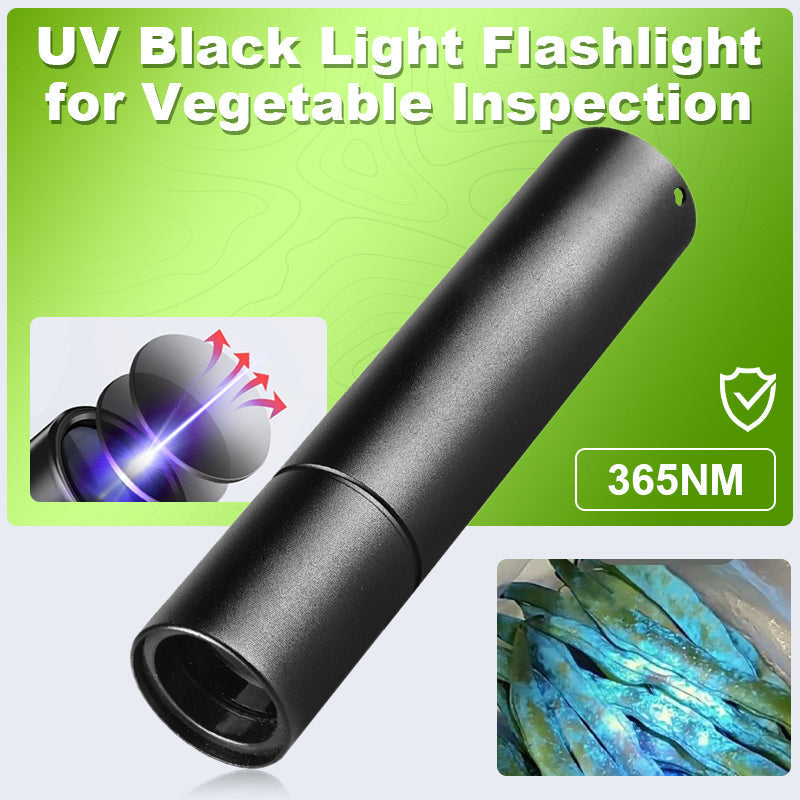 CleanScan – UV Produce Inspection Tool