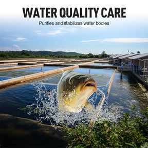 PureRipple – Pond Ecosystem Tablets