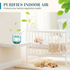 PureBreath – Advanced Indoor Air Care Box