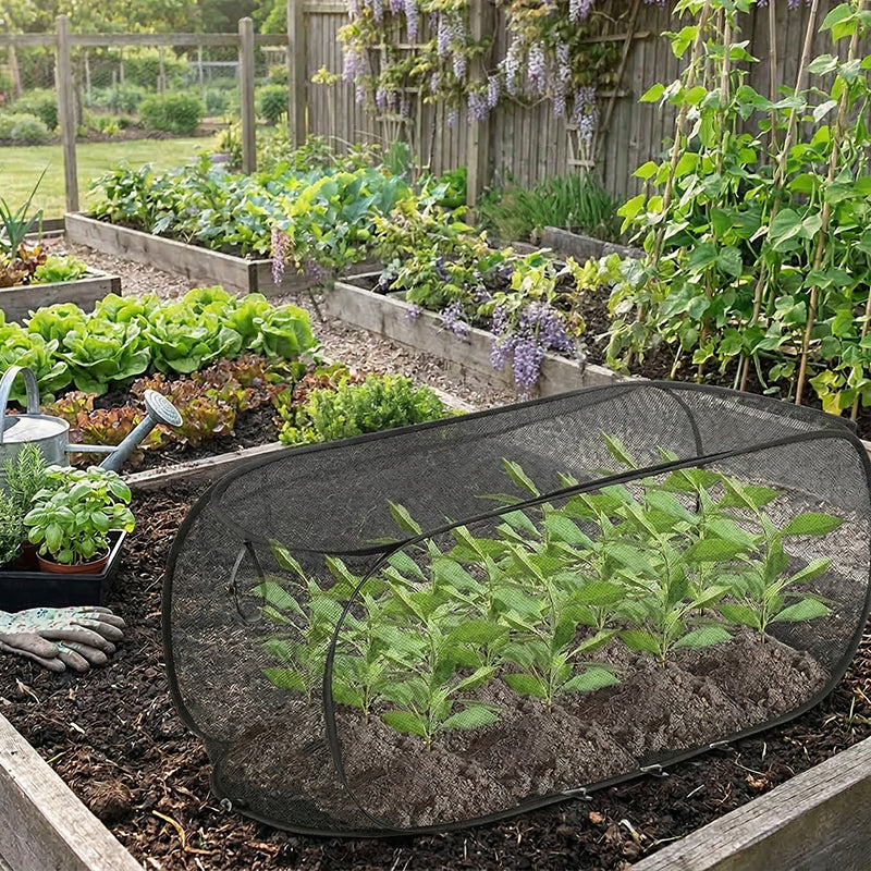 GreenDome – Pop-Up Mesh Plant Shield