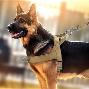 ForceGrip - Tactical Dog Harness with Control Handle