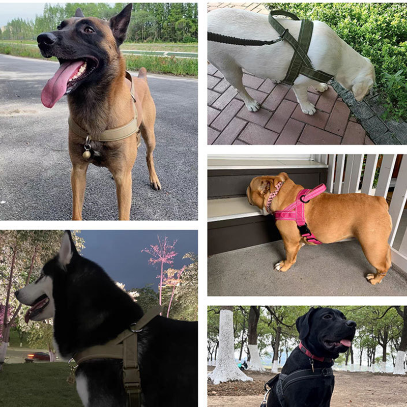 ForceGrip - Tactical Dog Harness with Control Handle