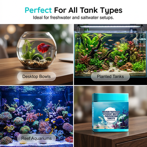 CrystalAqua – Premium Fish Tank Purification Tablets