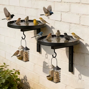AquaPerch – Wall Mounted Metal Bird Bath