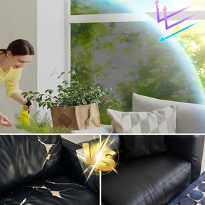PrivacyShield – Window Privacy Film