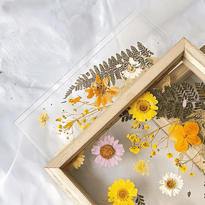 MemoryLayers – DIY 3D Display Frame