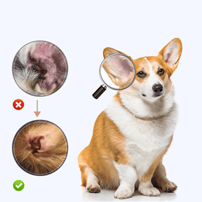 FurGlow – Safe Ear Cleaning Liquid for Pets
