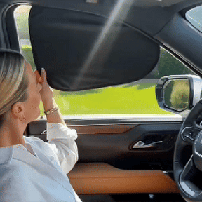 EcoShield – Thermal Insulation Privacy Shade