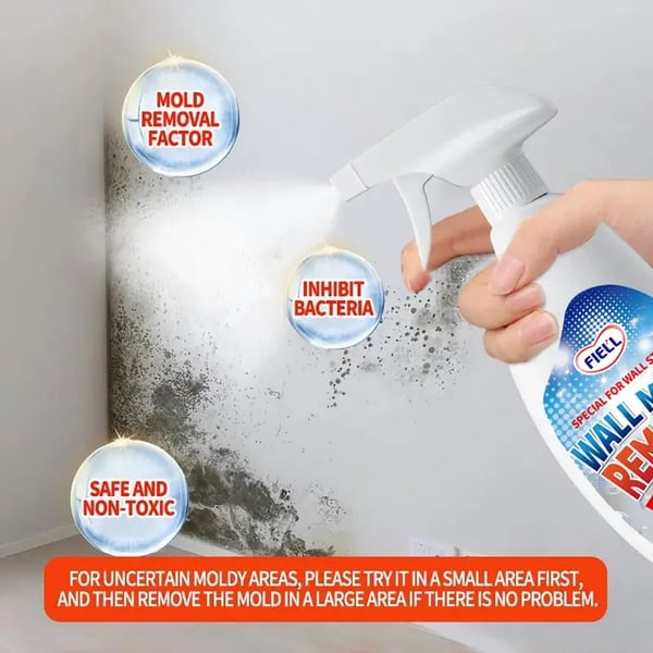 MoldXpert – Instant Deodorizing Wall Spray