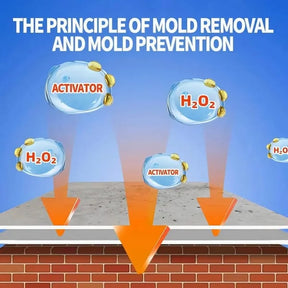 MoldXpert – Instant Deodorizing Wall Spray