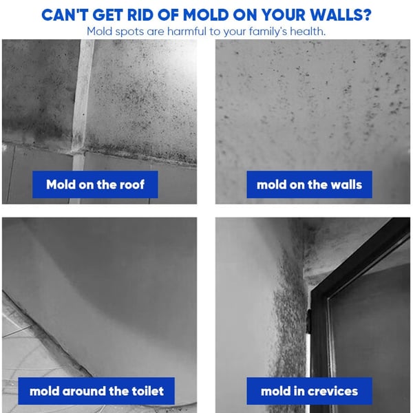 MoldXpert – Instant Deodorizing Wall Spray
