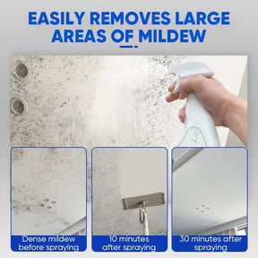 MoldXpert – Instant Deodorizing Wall Spray