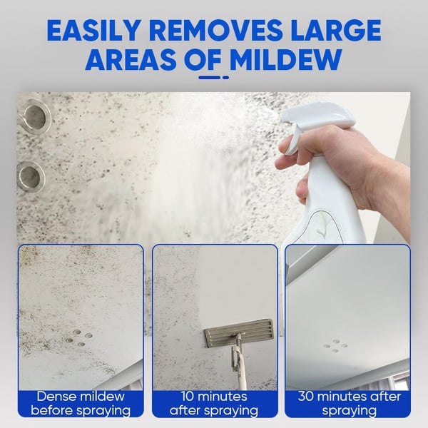 MoldXpert – Instant Deodorizing Wall Spray