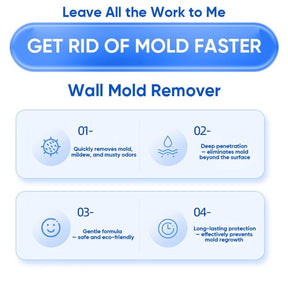 MoldXpert – Instant Deodorizing Wall Spray