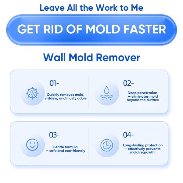 MoldXpert – Instant Deodorizing Wall Spray