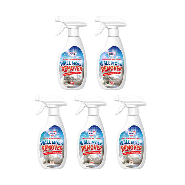 MoldXpert – Instant Deodorizing Wall Spray