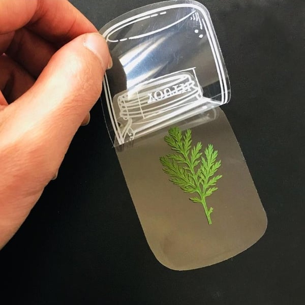 BloomLeaf – Clear Botanical Dried Flower Bookmarks