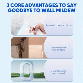 MoldXpert – Instant Deodorizing Wall Spray