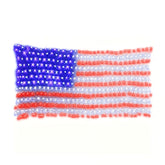 HonorBeam – Outdoor American Flag Net Lights