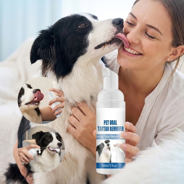 BiteCare – Pet Tartar Removal Foam