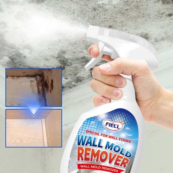 MoldXpert – Instant Deodorizing Wall Spray