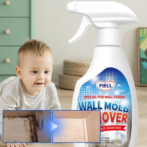MoldXpert – Instant Deodorizing Wall Spray