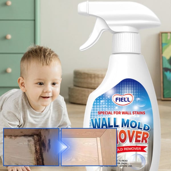 MoldXpert – Instant Deodorizing Wall Spray
